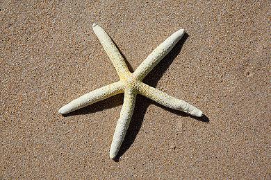 消息要来！如龙工作室9月24日举办两场背靠背直播